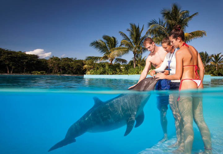 Nado com golfinhos em Cancun