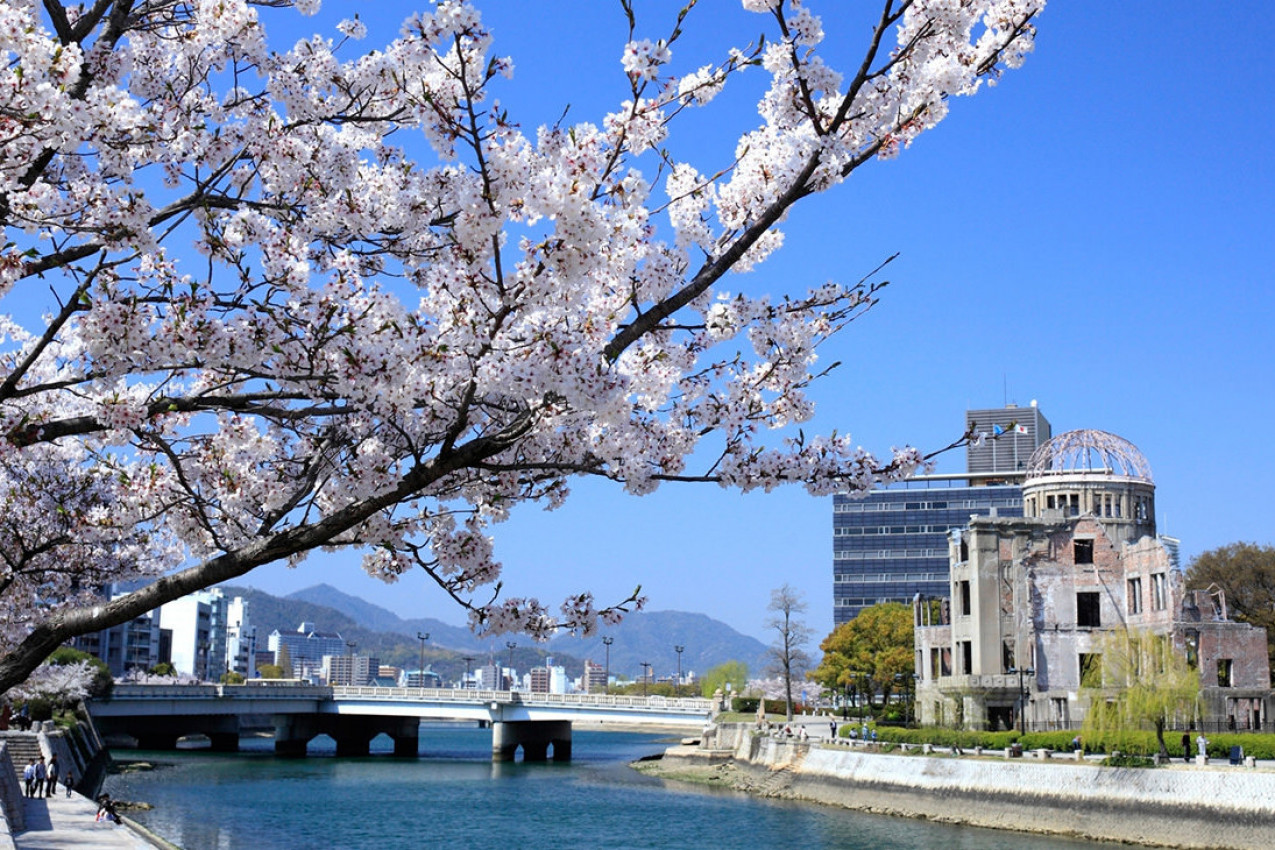 Cerejeiras em Hiroshima