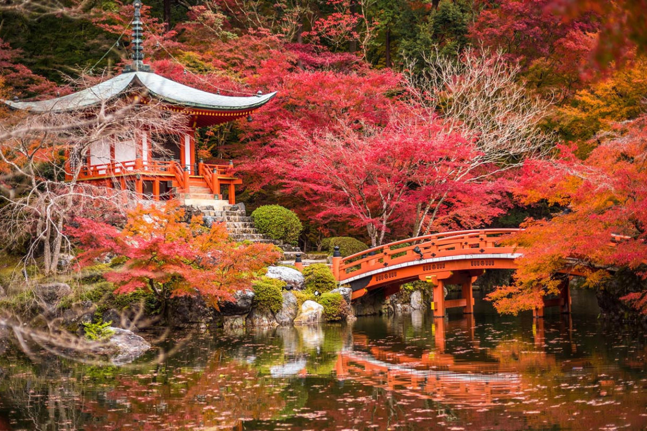 Os Jardins de Kioto