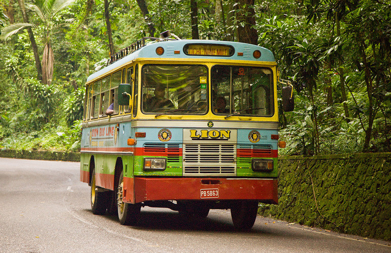 Ônibus tur Jamaica programa 50 por 1