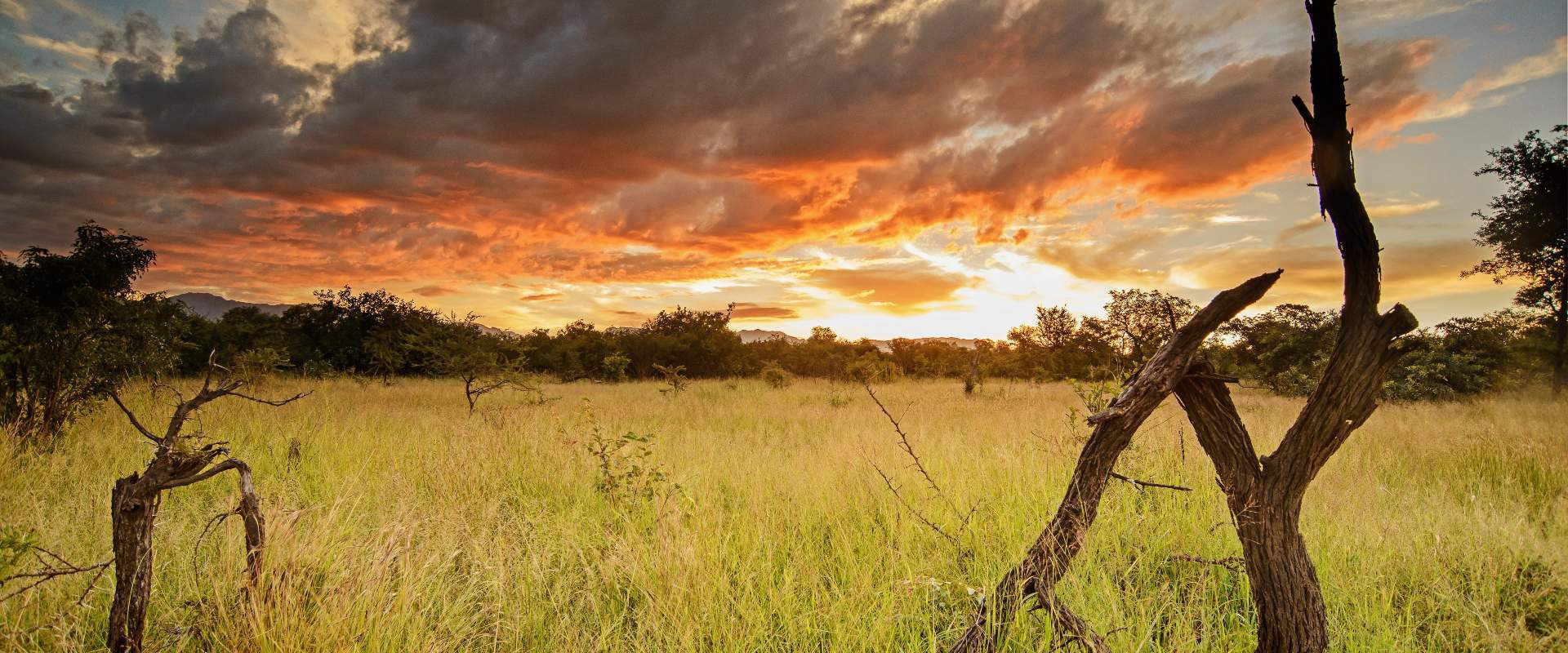 Karongwe Portfolio