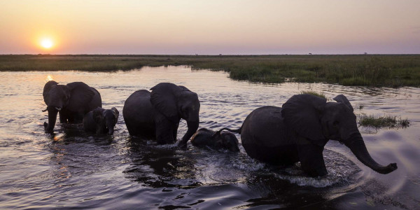 Botswana By Widerness Safaris 