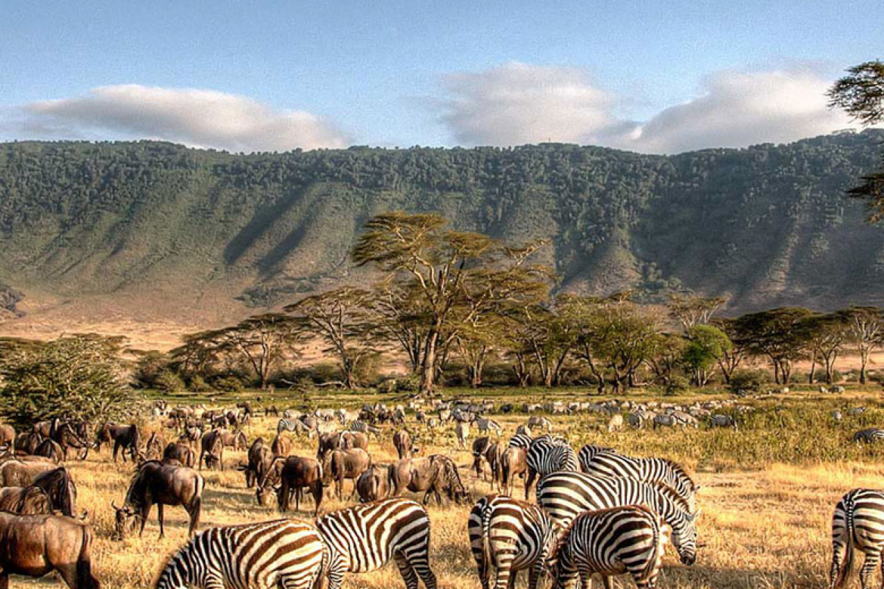 Viagem para Zâmbia