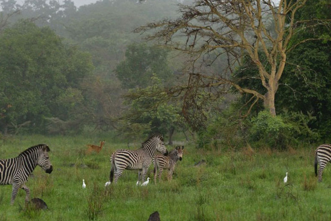 Viagem para Zâmbia