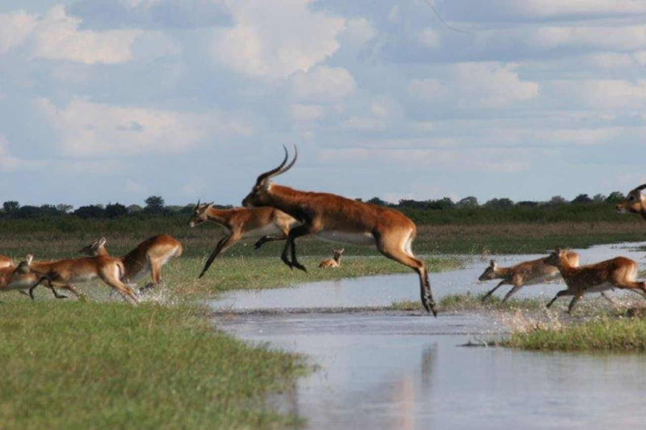 Viagem para Zâmbia