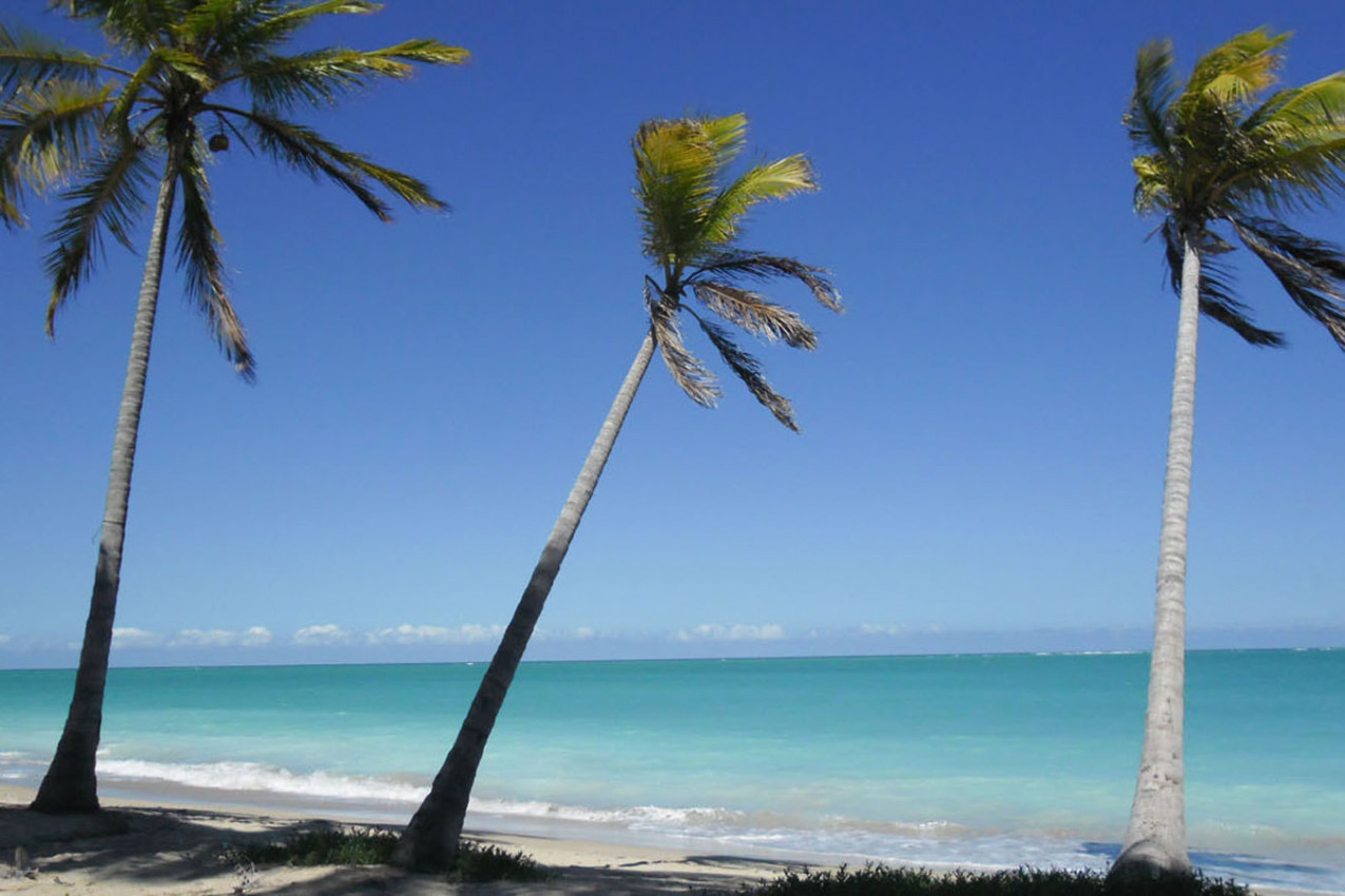 Japaratinga - Alagoas praia