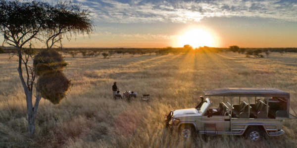 Safári com guia na Namíbia 