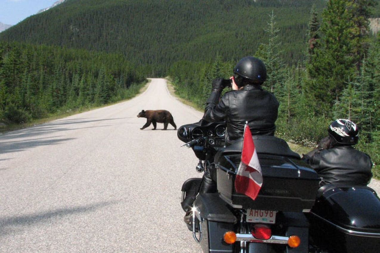 rocky mountain harley