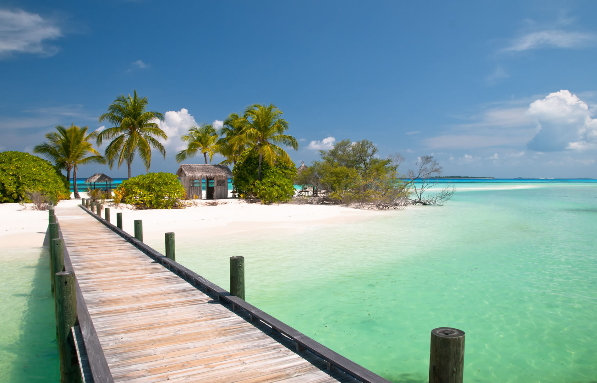 Nassau & Miami