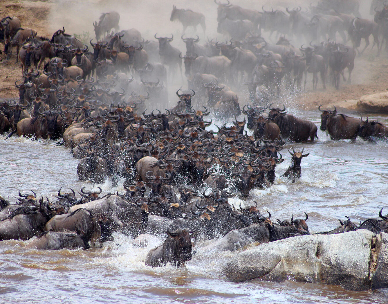 Serengeti Bushtops 