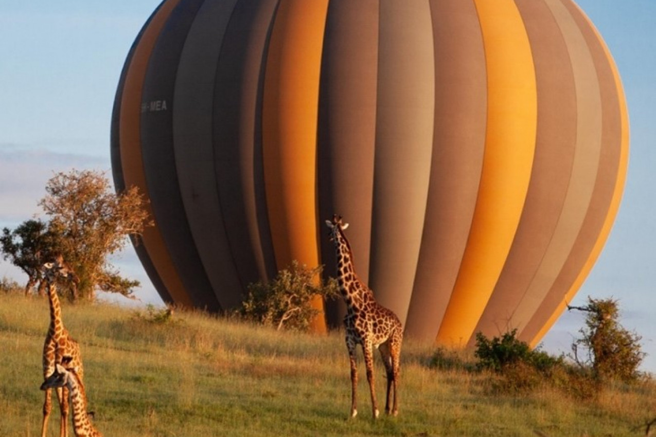 Pacote para Tanzânia e Zanzibar Singita Sabora Tented Camp