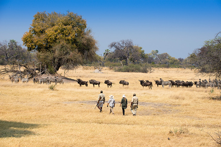 O melhor da África Austral Luxury