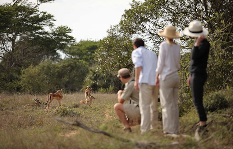 Grande Safari na África do Sul 