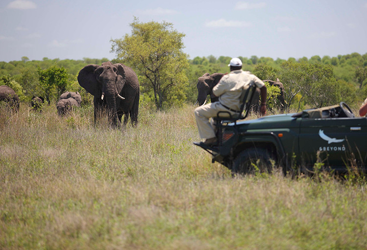 Grande Safari Deluxe na África do Sul 