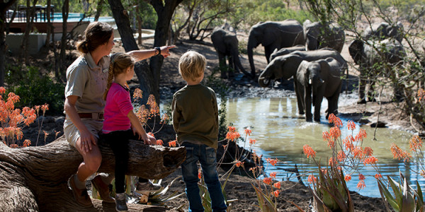 Safari Wild Child Adventure - Luxury